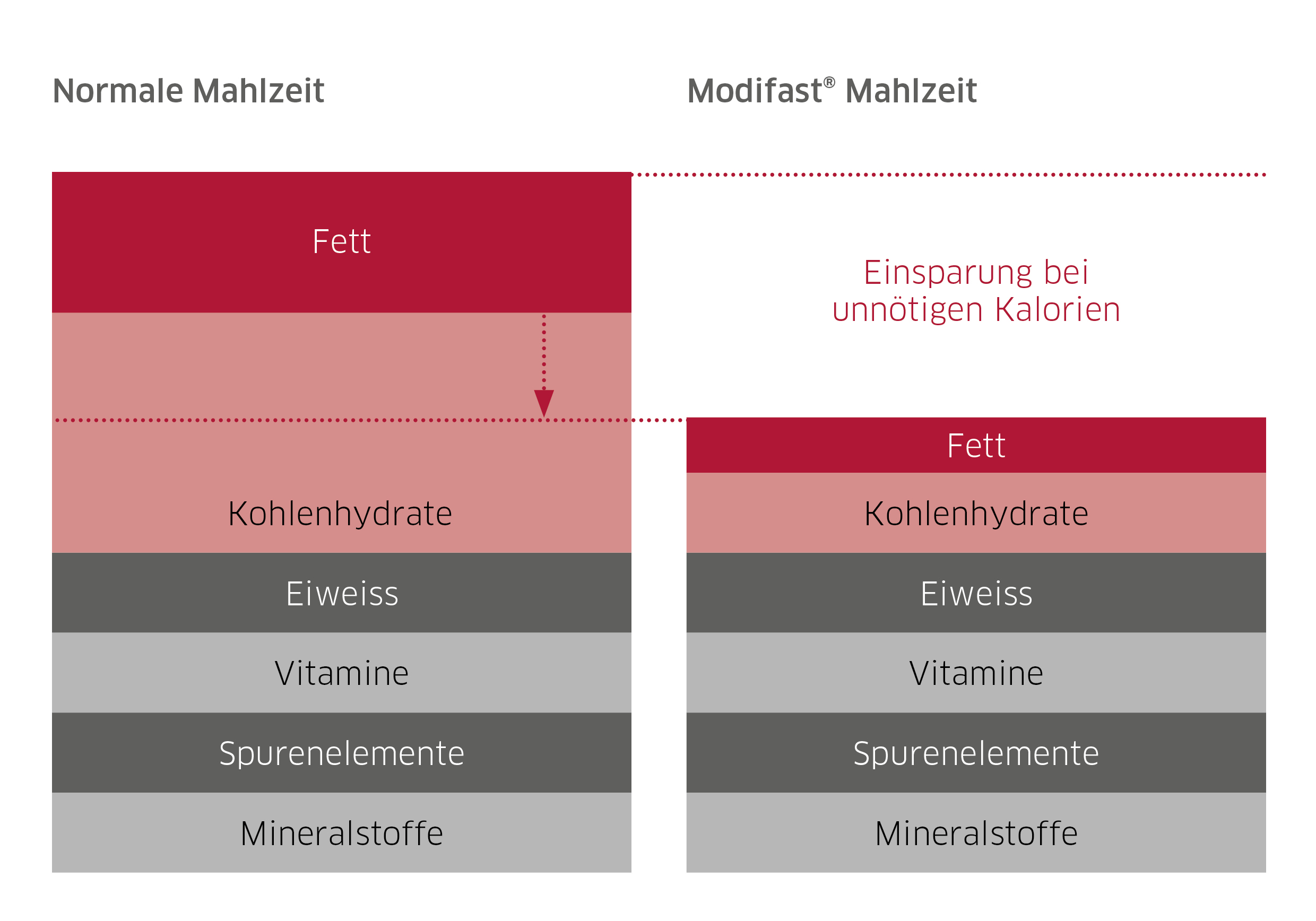Grafik Modifast